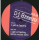 Dj Breeze - I got a Feeling