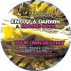 Entity & Darwin - Moving Over