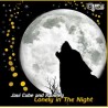 Jai Cube & Xavireg - Lonely in the night