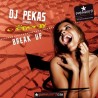 Dj Pekas pres Sala Energy - Break Up