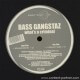 Bass gangstaz - Whats a criminal