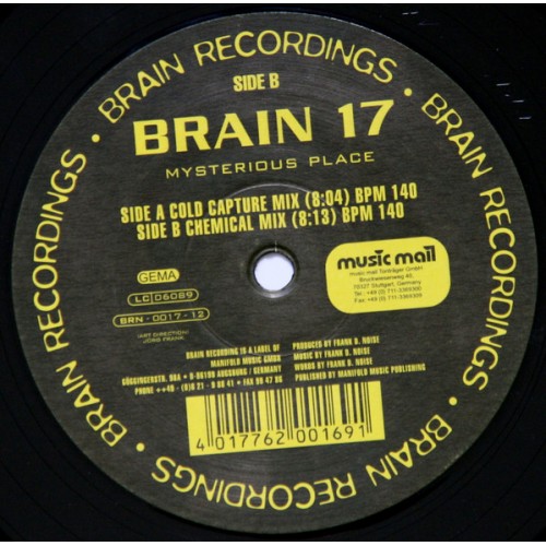 Brain 17