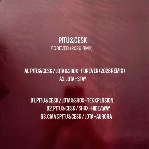 Pitu &amp; Cesk - Forever 2026 rmx